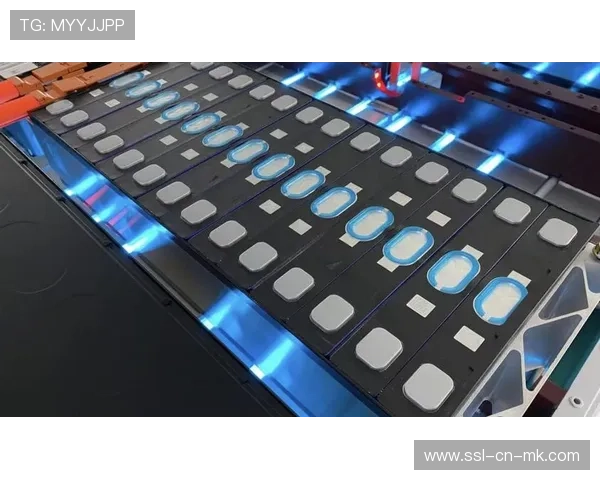 交互式观赛模组在本季度深度嵌入链路 支撑起瞬时参与的高频反馈